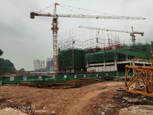 蓬安梧桐大院項(xiàng)目建設(shè)工程施工有序推進(jìn)